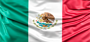 bandera mexico 11