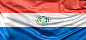 bandera paraguay 13