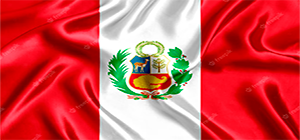 bandera peru 14