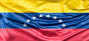 bandera venezuela 16